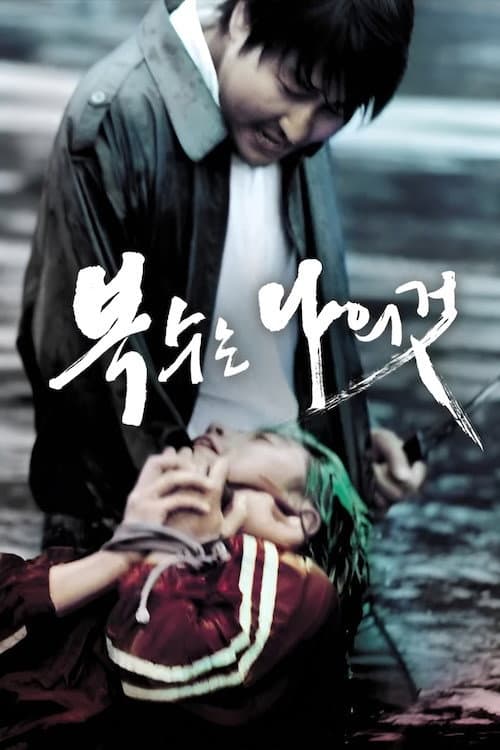 Sympathy for Mr. Vengeance